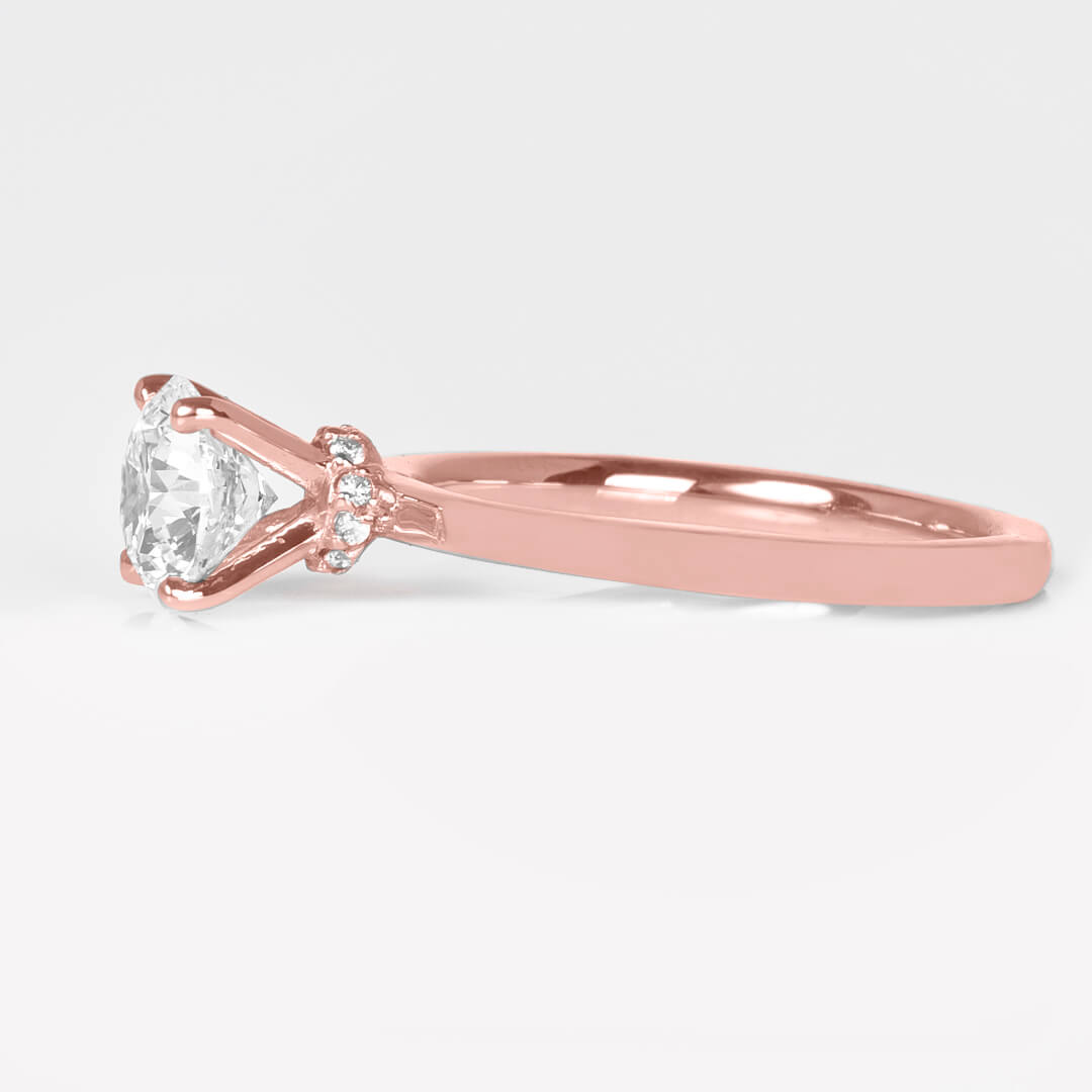 Montura Celeste Plano