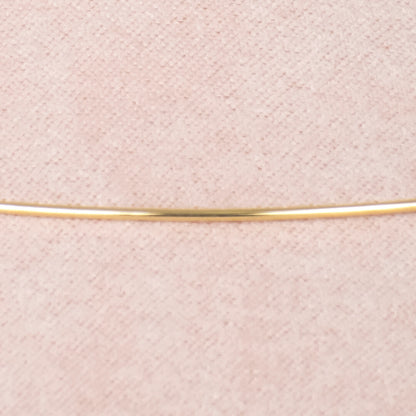 Dije de Catarina Esmaltada 14k
